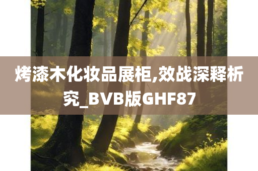 烤漆木化妆品展柜,效战深释析究_BVB版GHF87