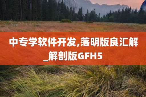 中专学软件开发,落明版良汇解_解剖版GFH5