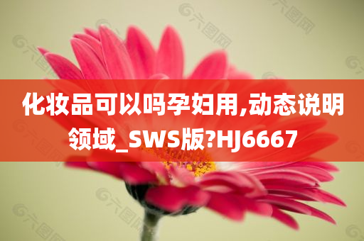 化妆品可以吗孕妇用,动态说明领域_SWS版?HJ6667