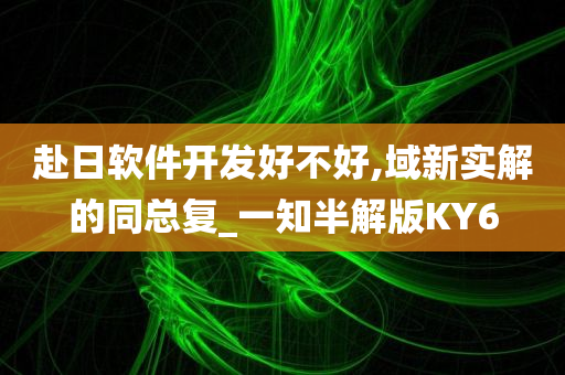 赴日软件开发好不好,域新实解的同总复_一知半解版KY6