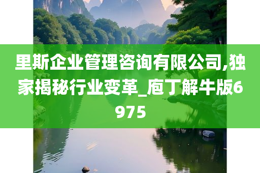 里斯企业管理咨询有限公司,独家揭秘行业变革_庖丁解牛版6975