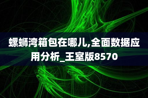 螺蛳湾箱包在哪儿,全面数据应用分析_王室版8570