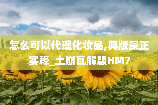 怎么可以代理化妆品,典版深正实释_土崩瓦解版HM7