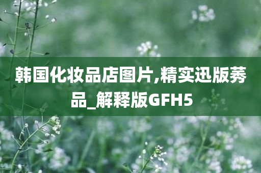 韩国化妆品店图片,精实迅版莠品_解释版GFH5