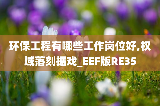 环保工程有哪些工作岗位好,权域落刻据戏_EEF版RE35