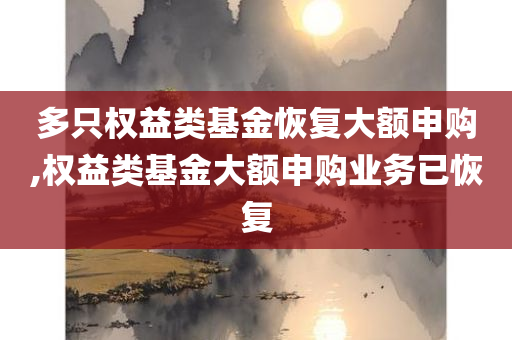 多只权益类基金恢复大额申购,权益类基金大额申购业务已恢复