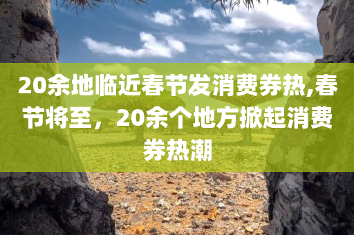 20余地临近春节发消费券热,春节将至，20余个地方掀起消费券热潮