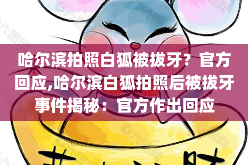 哈尔滨拍照白狐被拔牙？官方回应,哈尔滨白狐拍照后被拔牙事件揭秘：官方作出回应