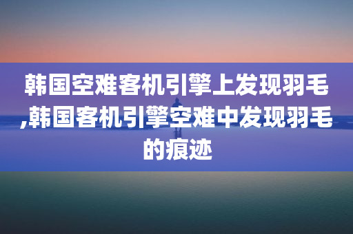 韩国空难客机引擎上发现羽毛,韩国客机引擎空难中发现羽毛的痕迹