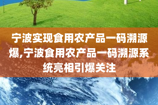 宁波实现食用农产品一码溯源爆,宁波食用农产品一码溯源系统亮相引爆关注