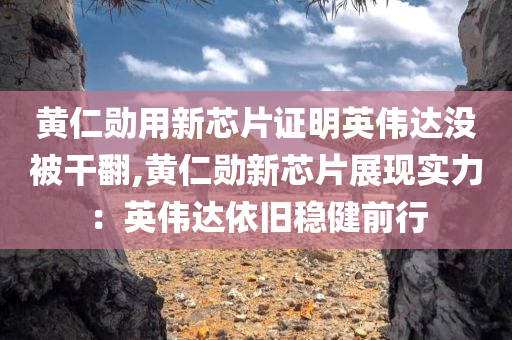 黄仁勋用新芯片证明英伟达没被干翻,黄仁勋新芯片展现实力：英伟达依旧稳健前行