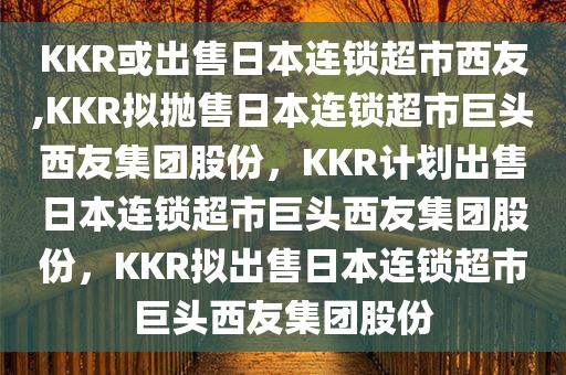 KKR或出售日本连锁超市西友,KKR拟抛售日本连锁超市巨头西友集团股份，KKR计划出售日本连锁超市巨头西友集团股份，KKR拟出售日本连锁超市巨头西友集团股份