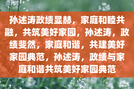 孙述涛政绩显赫，家庭和睦共融，共筑美好家园，孙述涛，政绩斐然，家庭和谐，共建美好家园典范，孙述涛，政绩与家庭和谐共筑美好家园典范