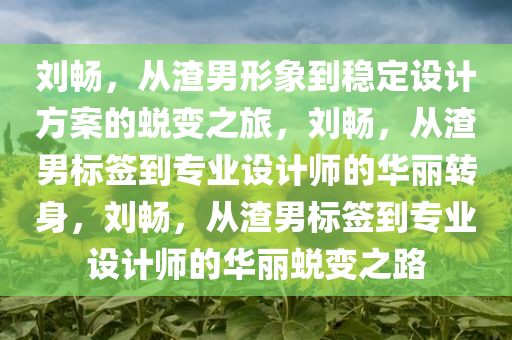 刘畅，从渣男形象到稳定设计方案的蜕变之旅，刘畅，从渣男标签到专业设计师的华丽转身，刘畅，从渣男标签到专业设计师的华丽蜕变之路