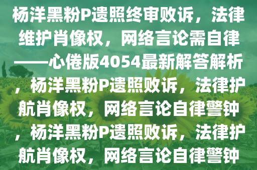 杨洋黑粉P遗照终审败诉，法律维护肖像权，网络言论需自律——心倦版4054最新解答解析，杨洋黑粉P遗照败诉，法律护航肖像权，网络言论自律警钟，杨洋黑粉P遗照败诉，法律护航肖像权，网络言论自律警钟