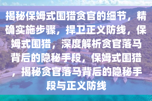 揭秘保姆式围猎贪官的细节，精确实施步骤，捍卫正义防线，保姆式围猎，深度解析贪官落马背后的隐秘手段，保姆式围猎，揭秘贪官落马背后的隐秘手段与正义防线