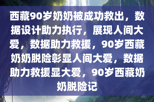 西藏90岁奶奶被成功救出，数据设计助力执行，展现人间大爱，数据助力救援，90岁西藏奶奶脱险彰显人间大爱，数据助力救援显大爱，90岁西藏奶奶脱险记