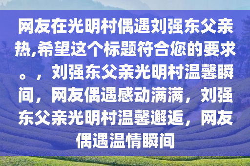 网友在光明村偶遇刘强东父亲热,希望这个标题符合您的要求。，刘强东父亲光明村温馨瞬间，网友偶遇感动满满，刘强东父亲光明村温馨邂逅，网友偶遇温情瞬间