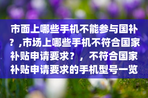 市面上哪些手机不能参与国补？,市场上哪些手机不符合国家补贴申请要求？，不符合国家补贴申请要求的手机型号一览