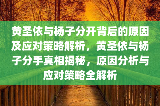 黄圣依与杨子分开背后的原因及应对策略解析，黄圣依与杨子分手真相揭秘，原因分析与应对策略全解析