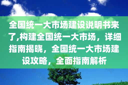 全国统一大市场建设说明书来了,构建全国统一大市场，详细指南揭晓，全国统一大市场建设攻略，全面指南解析