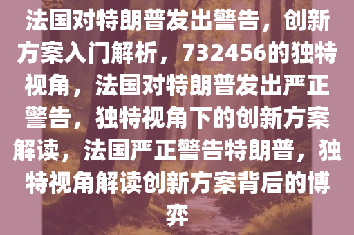 法国对特朗普发出警告，创新方案入门解析，732456的独特视角，法国对特朗普发出严正警告，独特视角下的创新方案解读，法国严正警告特朗普，独特视角解读创新方案背后的博弈