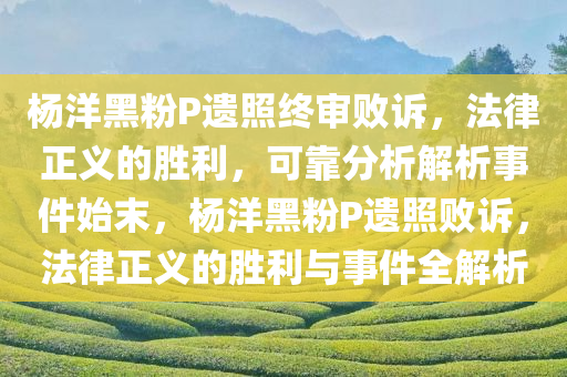 杨洋黑粉P遗照终审败诉，法律正义的胜利，可靠分析解析事件始末，杨洋黑粉P遗照败诉，法律正义的胜利与事件全解析