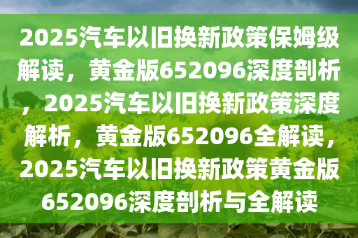 2025汽车以旧换新政策保姆级解读，黄金版652096深度剖析，2025汽车以旧换新政策深度解析，黄金版652096全解读，2025汽车以旧换新政策黄金版652096深度剖析与全解读