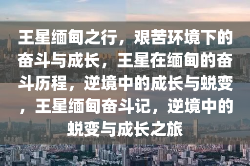 王星缅甸之行，艰苦环境下的奋斗与成长，王星在缅甸的奋斗历程，逆境中的成长与蜕变，王星缅甸奋斗记，逆境中的蜕变与成长之旅