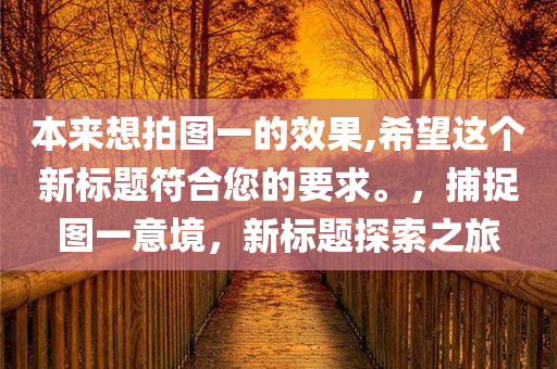 本来想拍图一的效果,希望这个新标题符合您的要求。，捕捉图一意境，新标题探索之旅