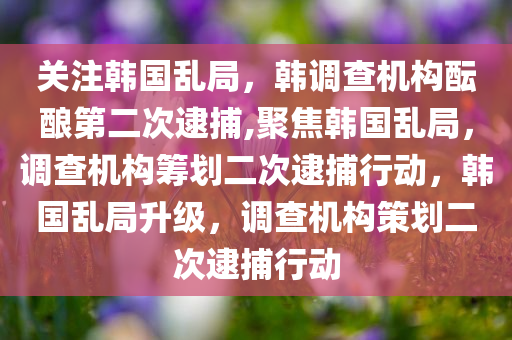 关注韩国乱局，韩调查机构酝酿第二次逮捕,聚焦韩国乱局，调查机构筹划二次逮捕行动，韩国乱局升级，调查机构策划二次逮捕行动