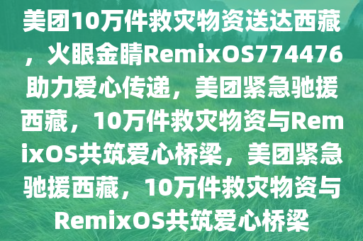 美团10万件救灾物资送达西藏，火眼金睛RemixOS774476助力爱心传递，美团紧急驰援西藏，10万件救灾物资与RemixOS共筑爱心桥梁，美团紧急驰援西藏，10万件救灾物资与RemixOS共筑爱心桥梁