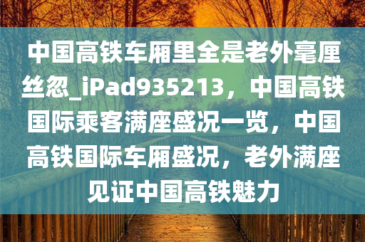 中国高铁车厢里全是老外毫厘丝忽_iPad935213，中国高铁国际乘客满座盛况一览，中国高铁国际车厢盛况，老外满座见证中国高铁魅力