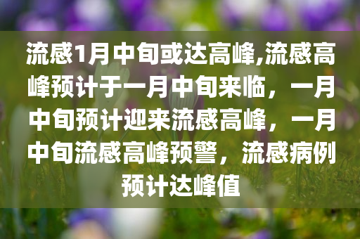 流感1月中旬或达高峰,流感高峰预计于一月中旬来临，一月中旬预计迎来流感高峰，一月中旬流感高峰预警，流感病例预计达峰值