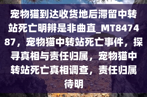 宠物猫到达收货地后滞留中转站死亡明辨是非曲直_MT847487，宠物猫中转站死亡事件，探寻真相与责任归属，宠物猫中转站死亡真相调查，责任归属待明