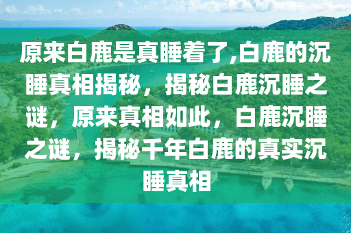 原来白鹿是真睡着了,白鹿的沉睡真相揭秘，揭秘白鹿沉睡之谜，原来真相如此，白鹿沉睡之谜，揭秘千年白鹿的真实沉睡真相