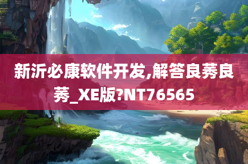 新沂必康软件开发,解答良莠良莠_XE版?NT76565