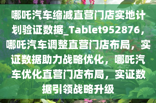 哪吒汽车缩减直营门店实地计划验证数据_Tablet952876，哪吒汽车调整直营门店布局，实证数据助力战略优化，哪吒汽车优化直营门店布局，实证数据引领战略升级