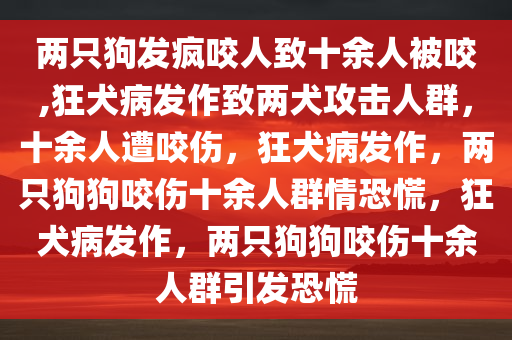 两只狗发疯咬人致十余人被咬,狂犬病发作致两犬攻击人群，十余人遭咬伤，狂犬病发作，两只狗狗咬伤十余人群情恐慌，狂犬病发作，两只狗狗咬伤十余人群引发恐慌