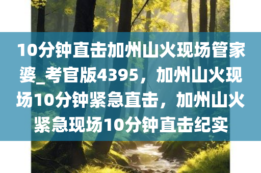 10分钟直击加州山火现场管家婆_考官版4395，加州山火现场10分钟紧急直击，加州山火紧急现场10分钟直击纪实