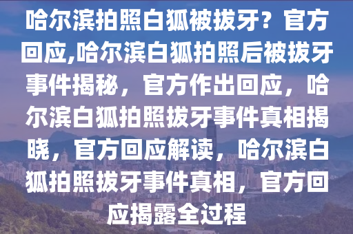 哈尔滨拍照白狐被拔牙？官方回应,哈尔滨白狐拍照后被拔牙事件揭秘，官方作出回应，哈尔滨白狐拍照拔牙事件真相揭晓，官方回应解读，哈尔滨白狐拍照拔牙事件真相，官方回应揭露全过程