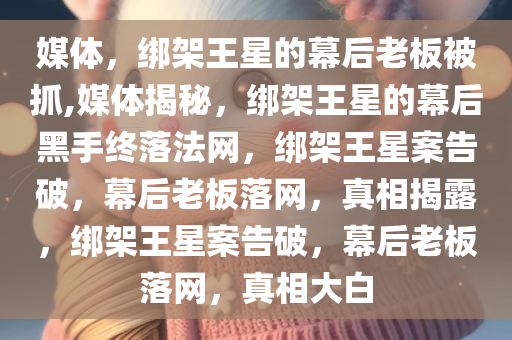 媒体，绑架王星的幕后老板被抓,媒体揭秘，绑架王星的幕后黑手终落法网，绑架王星案告破，幕后老板落网，真相揭露，绑架王星案告破，幕后老板落网，真相大白