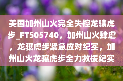 美国加州山火完全失控龙骧虎步_FT505740，加州山火肆虐，龙骧虎步紧急应对纪实，加州山火龙骧虎步全力救援纪实