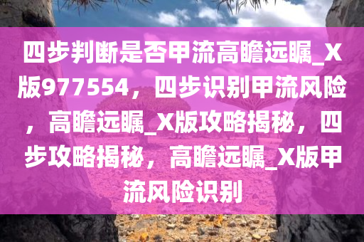 四步判断是否甲流高瞻远瞩_X版977554，四步识别甲流风险，高瞻远瞩_X版攻略揭秘，四步攻略揭秘，高瞻远瞩_X版甲流风险识别