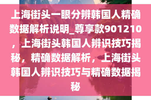 上海街头一眼分辨韩国人精确数据解析说明_尊享款901210，上海街头韩国人辨识技巧揭秘，精确数据解析，上海街头韩国人辨识技巧与精确数据揭秘