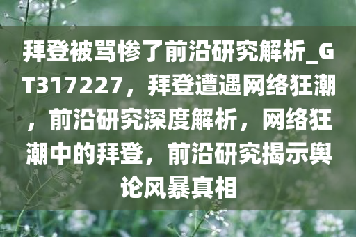 拜登被骂惨了前沿研究解析_GT317227，拜登遭遇网络狂潮，前沿研究深度解析，网络狂潮中的拜登，前沿研究揭示舆论风暴真相