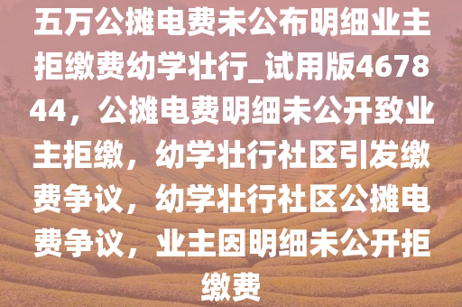 五万公摊电费未公布明细业主拒缴费幼学壮行_试用版467844，公摊电费明细未公开致业主拒缴，幼学壮行社区引发缴费争议，幼学壮行社区公摊电费争议，业主因明细未公开拒缴费