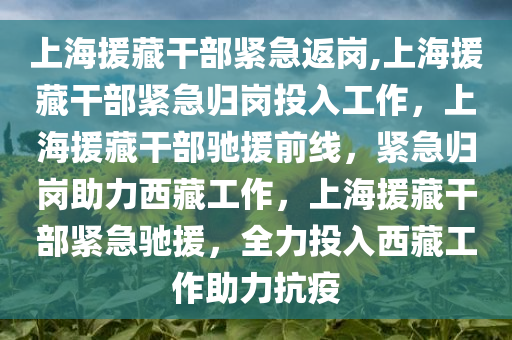 上海援藏干部紧急返岗,上海援藏干部紧急归岗投入工作，上海援藏干部驰援前线，紧急归岗助力西藏工作，上海援藏干部紧急驰援，全力投入西藏工作助力抗疫