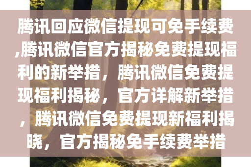 腾讯回应微信提现可免手续费,腾讯微信官方揭秘免费提现福利的新举措，腾讯微信免费提现福利揭秘，官方详解新举措，腾讯微信免费提现新福利揭晓，官方揭秘免手续费举措