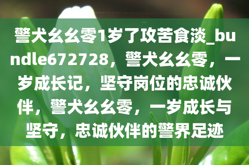 警犬幺幺零1岁了攻苦食淡_bundle672728，警犬幺幺零，一岁成长记，坚守岗位的忠诚伙伴，警犬幺幺零，一岁成长与坚守，忠诚伙伴的警界足迹